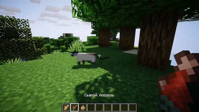 Как приручить кошку в Майнкрафте? смотреть онлайн