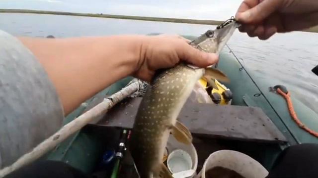 и снова она выручает... блесна своими руками...#fishing #рыбалка #рекомендации #щука #2023 #маны смотреть онлайн