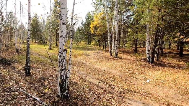 Код объекта 9345887 Мияги смотреть онлайн