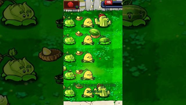 я играл в растения против зомби решил сделать скриншоты с клееть их в один tiktok смотреть онлайн