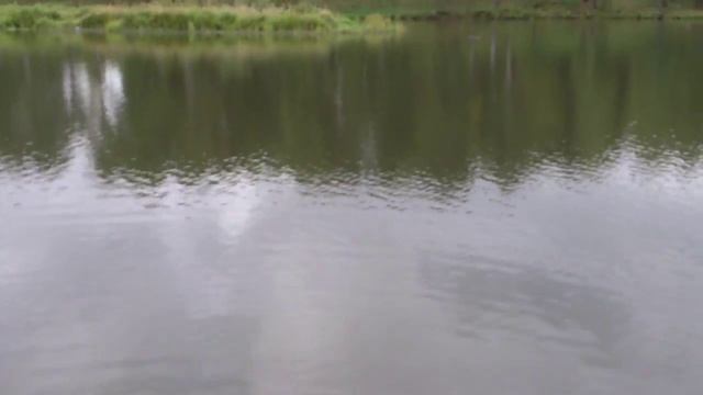 Зеркальный карпик,платник "Клёвое место". смотреть онлайн