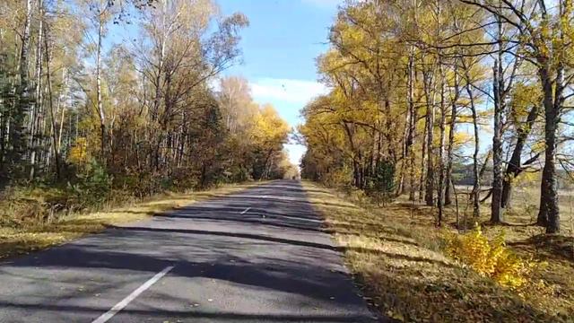 Золотая Осень в Брянской области. смотреть онлайн