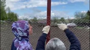 Монтаж забора из сетки рабицы своими руками, пошагово. Натяжка сетки. Забор на участке. Сетка рабиц