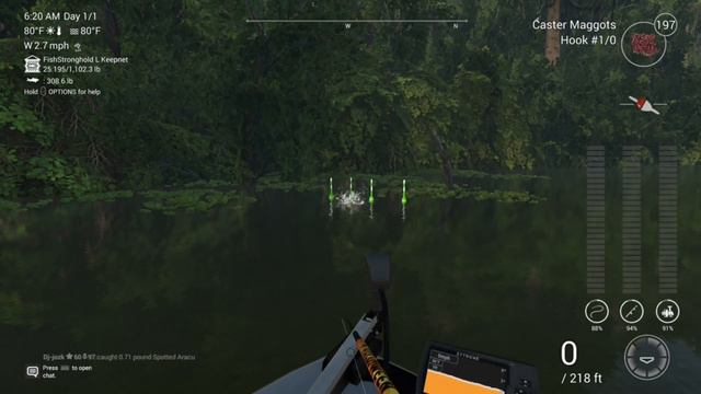 Fishing Planet: Unigue Flag-Tailed Prochilodus - Maku-Maku Peru смотреть онлайн