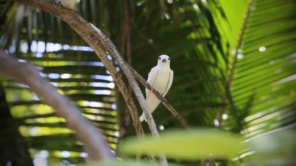 Denis Private Island, Seychelles