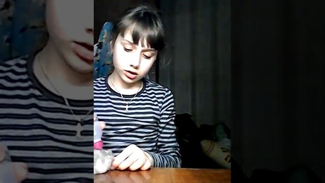 Какой корм надо давать хомякам? смотреть онлайн