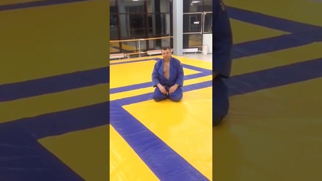 БОРЦОВСКИЙ КОВЕР ДЛЯ ДЗЮДО "РИНО СПОРТ". смотреть онлайн