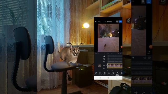 МАСТЕРСКАЯ ШЛЁПЫ: Как сделать анимацию? смотреть онлайн
