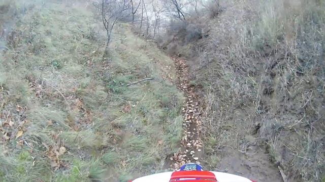 ягодинское эндуро тольятти 011120 смотреть онлайн