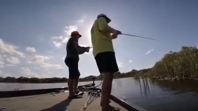How to set the hook when bass fishing смотреть онлайн