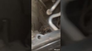 Как снять фары не снимая бампера bmw x5 e53