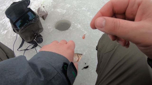 РЫБАЛКА на КАРАСЯ ВЕСНОЙ 2023! Первая рыбалка ранней весной. смотреть онлайн