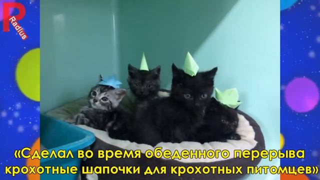 Что делать,если скучно 19 идей))) смотреть онлайн