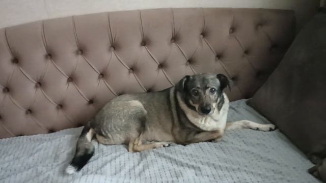 ВАРЯ, ПРОШЕДШАЯ АД смотреть онлайн