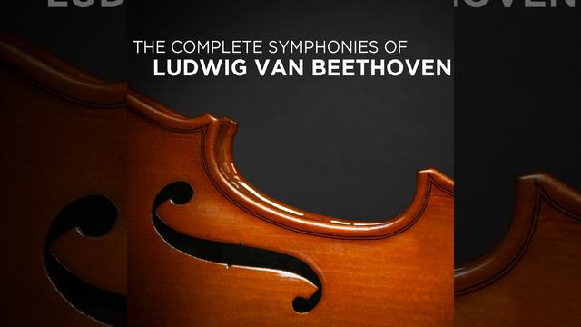 Symphony No. 9 In D minor, "Choral" Op. 125 : Allegro Assai смотреть онлайн