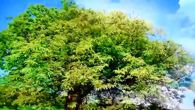 МУЗЫКА ВЕСНЫ- ( СЕРГЕЙ ЧЕКАЛИН) смотреть онлайн