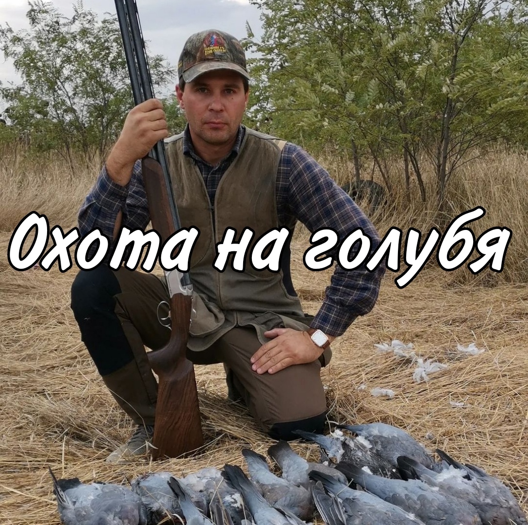 Oхота на голубя смотреть онлайн