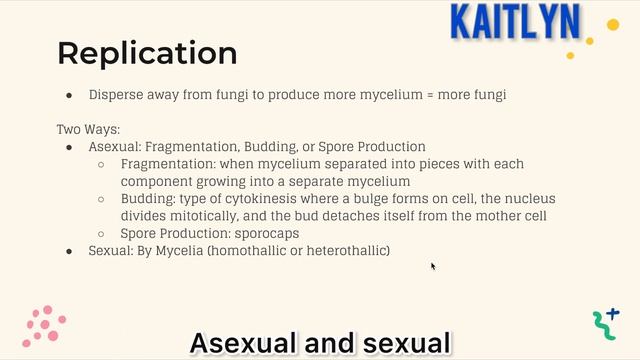 Bio120 Han Jen Lee and Kaitlyn Kuo-Microbes Project (Hydnellum peckii) смотреть онлайн