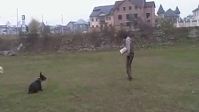 Макс тренинг Нальчик 24.11.2012