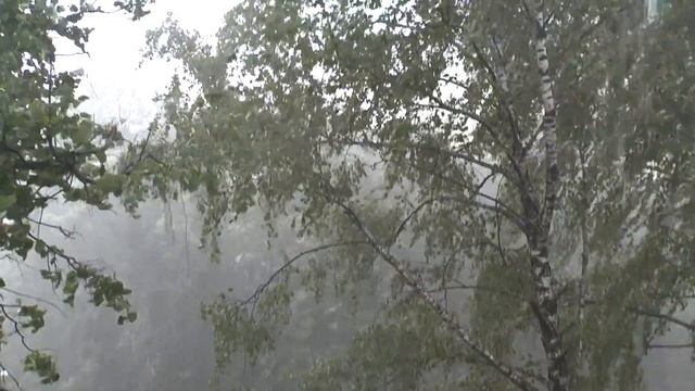 Сильный ливень в Красногорске смотреть онлайн