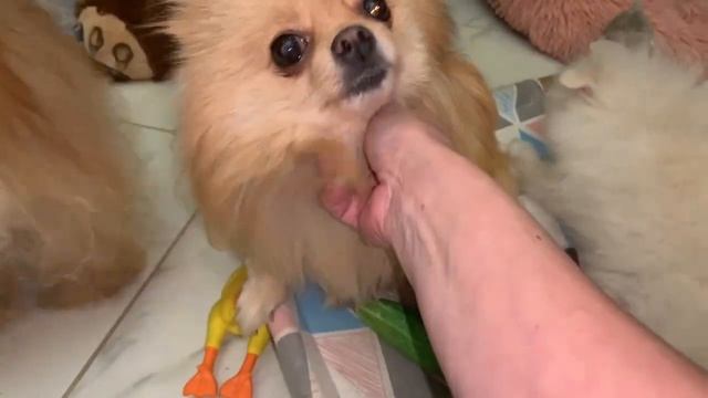 Всем наидобрейшего вечера и прекрасных снов. смотреть онлайн