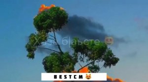 Хаза Б1аьсте Вайна Кхечи Бай Т1е Зезаг Вайна Дели🥰😍