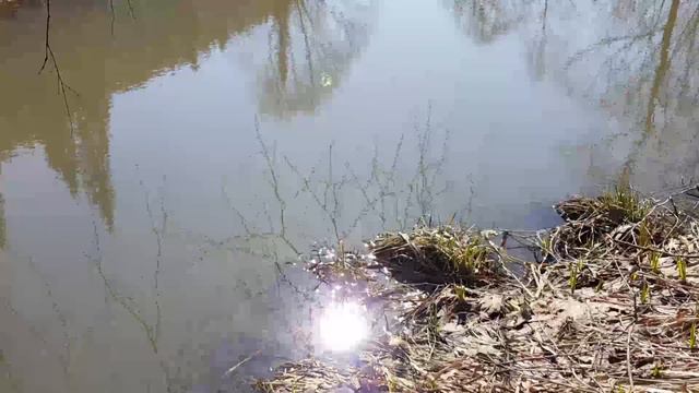 Пробуждение леса. Тайга весной. смотреть онлайн