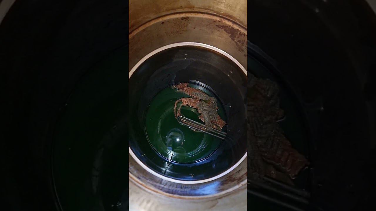 ОШИБКИ САМОГОНЩИКА: МЕДНАЯ РПН УПАЛА В КУБ... #самогон #перегонка #РПН #ошибки смотреть онлайн