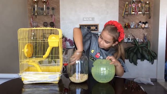 Новинка для моих хомяков