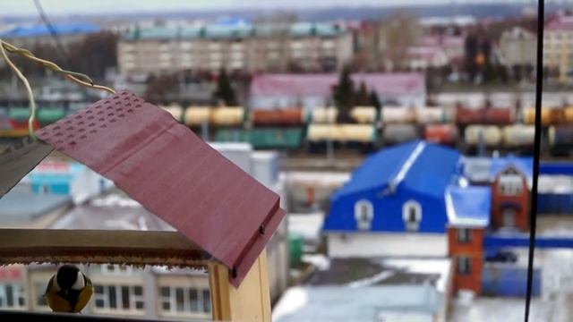 Синицы полезные птицы смотреть онлайн