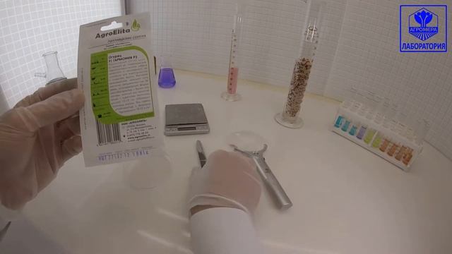 Огурец Гармония F1. АгроЭлита смотреть онлайн