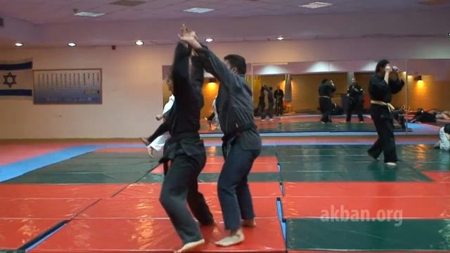 Teiken no kata - 1st level Gyokko ryu for Akban wiki смотреть онлайн