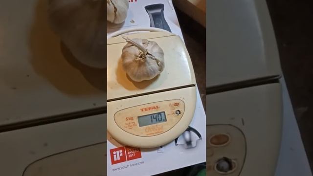 Различия в сортах рокамболя что у нас есть. смотреть онлайн