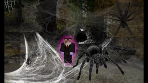 ПОЧЕМУ НАДО СЛЕДОВАТЬ ЗА ПАУКАМИ, А НЕ ЗА БАБОЧКАМИ?