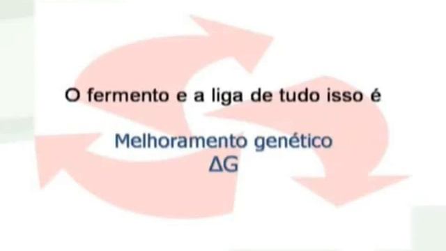 Conexão Delta G Associativismo Genética e Lucro wmv смотреть онлайн