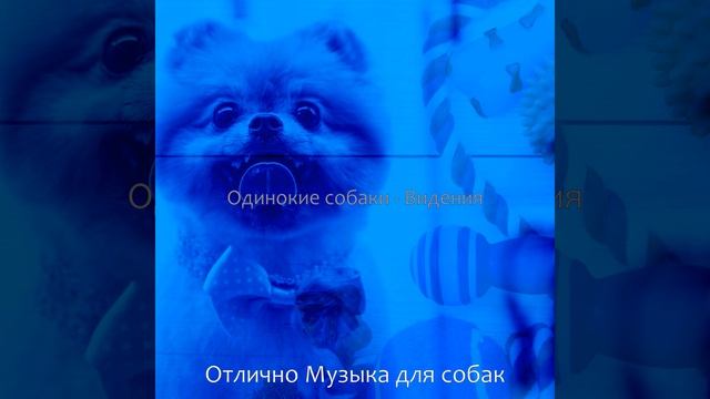 Впечатление (Щенки) смотреть онлайн