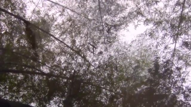 BodyArtRevolutionUnleashed