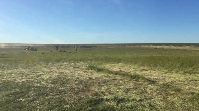 Сбор пантов - ловля северных оленей. смотреть онлайн