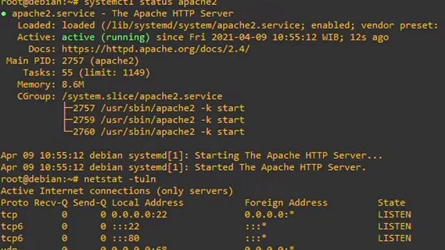 Install Apache2 di Debian 10 смотреть онлайн