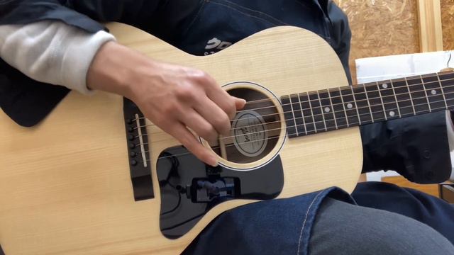 Gibson G-00 #20203036 смотреть онлайн