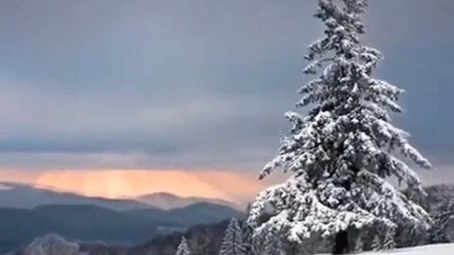 ПОЭЗИЯ ЗИМЫ музыка Bruno E автор клипа Зоя Боур-Москаленко смотреть онлайн