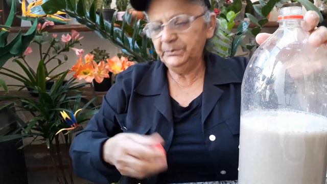 RECEITA CASEIRA #2 - PARA CRESCIMENTO E FLORAÇÃO DE PLANTAS E FRUTÍFERAS!!!! смотреть онлайн