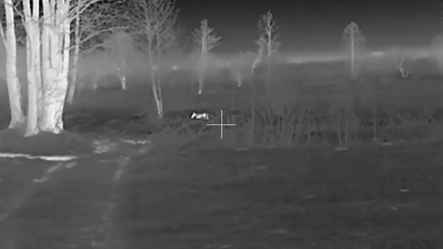 HIKVISION Thunder TH25 смотреть онлайн