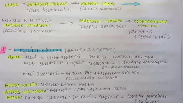 Билет 037. ВСПОМОГАТЕЛЬНЫЙ АППАРАТ ГЛАЗА. III, IV, VI ПАРЫ ЧЕРЕПНЫХ НЕРВОВ. смотреть онлайн