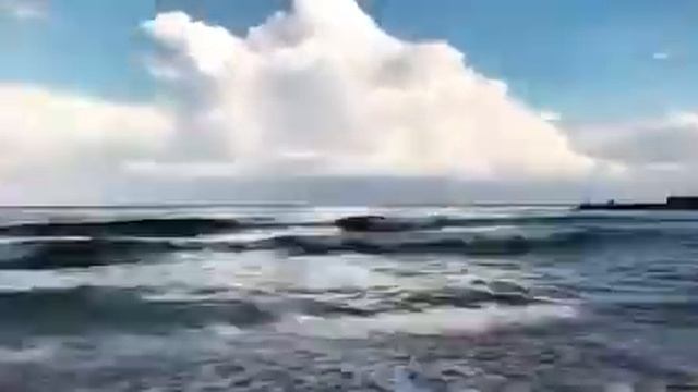 Выбирают вечно лужи смотреть онлайн