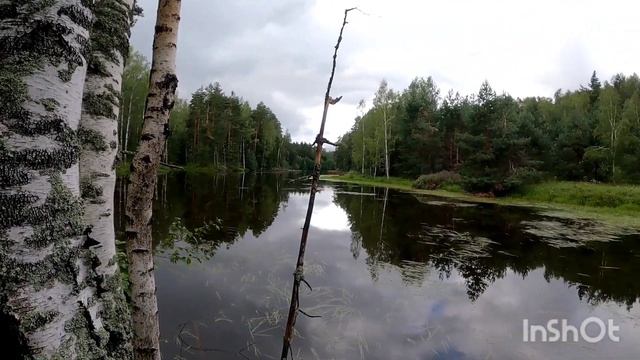 На самодельном Мотовездеходе за грибами,двигатель от мотоблока,бигфут честный тест драйв часть2 смотреть онлайн