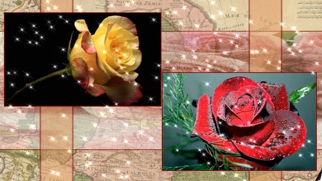 Розы для друзей