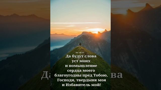 Учебник Ремонта