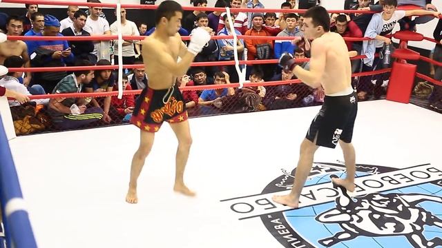 7.02.16 Проф Боевое Самбо «КУБОК МОСКВЫ» Новички смотреть онлайн