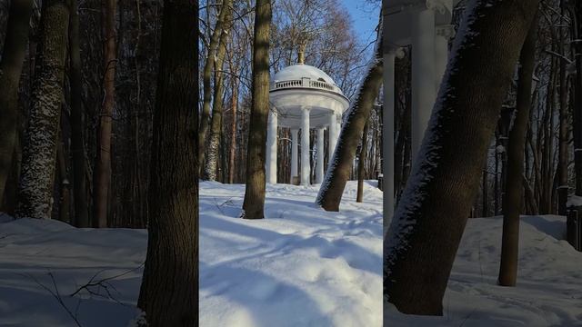 Морозный день. Синички и Белочки.mp4